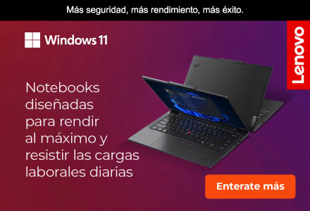Windows 11