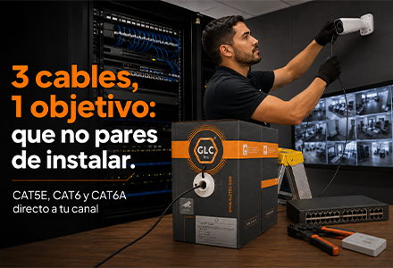 Windows 11